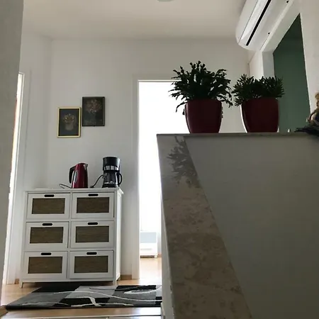Bauer